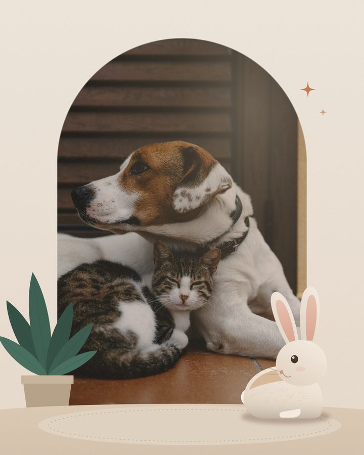 Un chien et un chat réels se reposent côte à côte, un lapin illustré les rejoint au premier plan